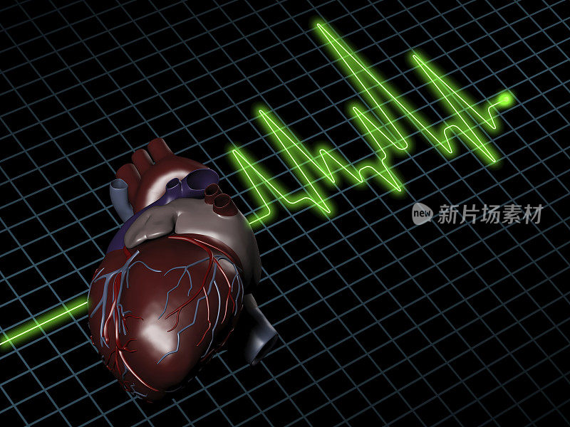 屏幕上显示人类心脏的心电图(ECG / EKG)